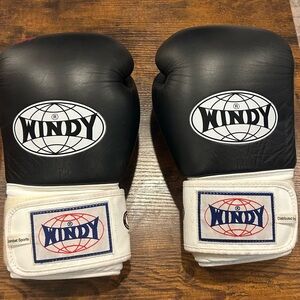 Windy 14oz Boxing Gloves